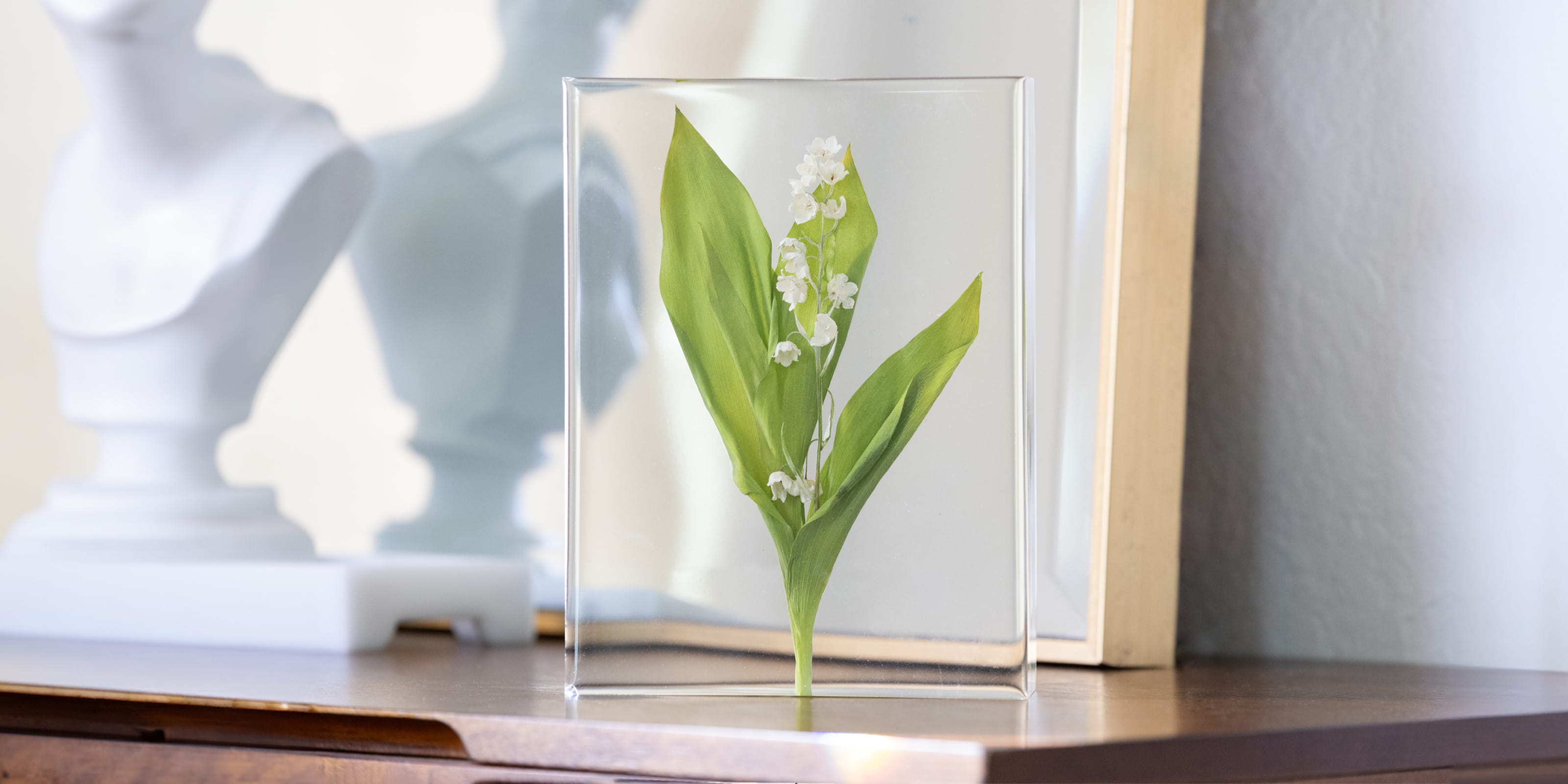 Lily of the valley on display in resin floral block - dbandrea