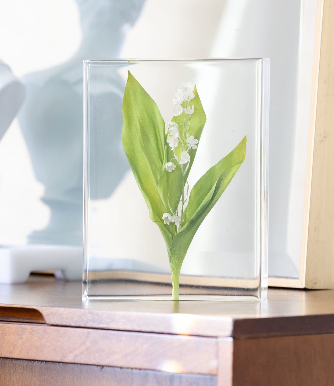 Preserved lily of the valley in resin block - dbandrea